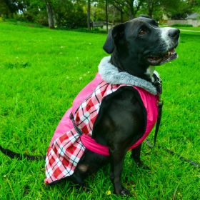 Alpine All-Weather Dog Coat (Color: Raspberry Plaid, size: 2X-Large)
