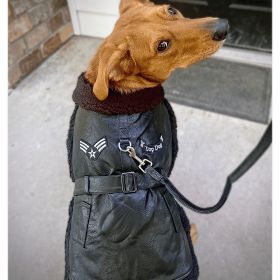 Black Top Flight Coat (size: small)